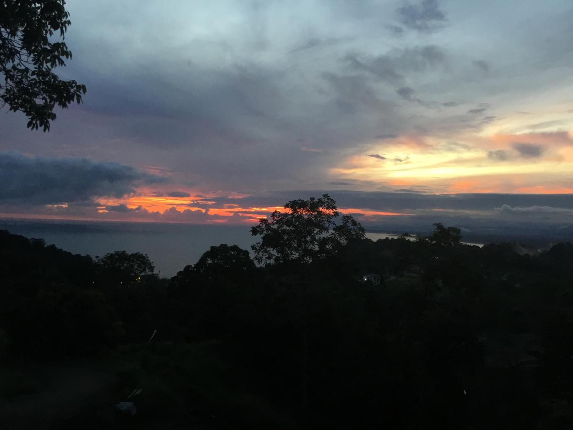 Rose House Manuel Antonio Daire Quepos Dış mekan fotoğraf